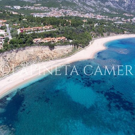 Casa Vacanza Gelsomino Cala Gonone Bagian luar foto