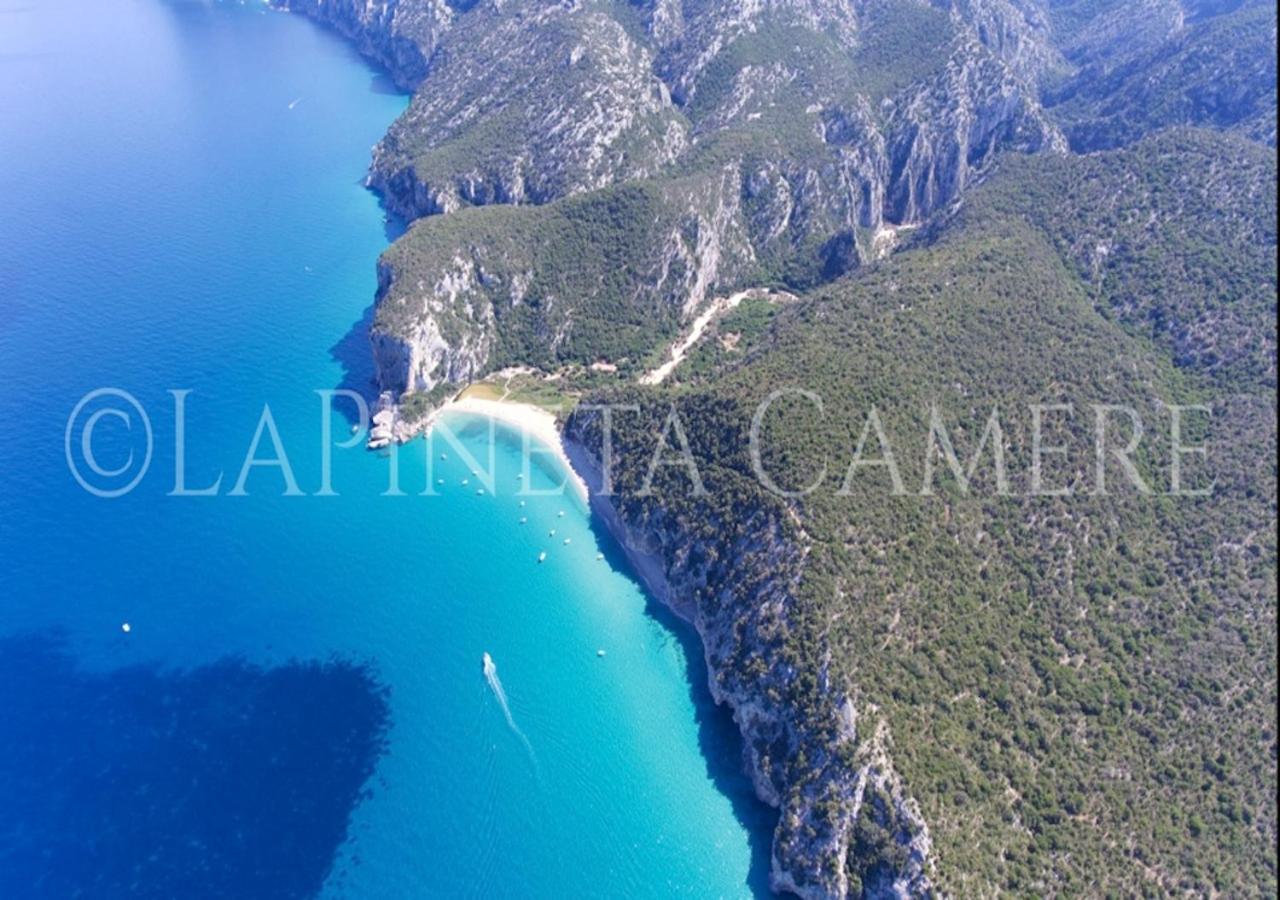 Casa Vacanza Gelsomino Cala Gonone Bagian luar foto